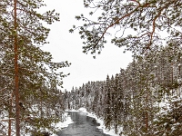 Park Narodowy Oulanka